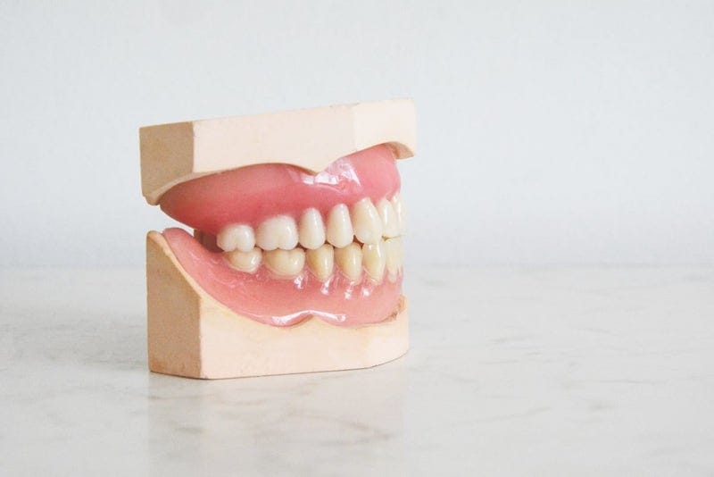 Modelo odontological de mandíbula humana